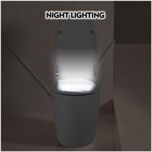 Heated Bidet Toilet with LED Night Light and Ambient Light Control for Bathroom