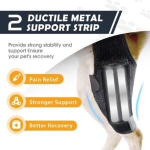 Dog Knee Brace for Torn ACL Hind Leg, Support Strip Design Ensures Stability, Adjustable Dog Back Leg Support Brace for Dogs Rear Leg, Reduce Joint Pain、Muscle Soreness and Inflammation (Size: M)