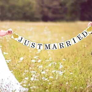 Just Married Proposal Banner Marriage Decorations Paper Garland Wedding Supplies Engagement Sign Outdoor Party Photp Prop Rustic Decorations 6Ft