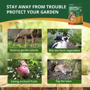 Squirrel Rabbit Repellent Outdoor Garden: Squirrel Deterrent for Plants - Chipmunk and Rabbit Repellent for Backyard - Keep Squirrels Away from Attic