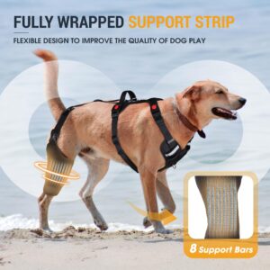 Dog Knee Brace Support for Torn ACL Leg, Dog Hip Dysplasia Brace, Full Body Fixation Ensures Stability, Dog Knee Braces Relieve Aching Muscles and Reduce Joint Pain and Inflammation (Size:L)