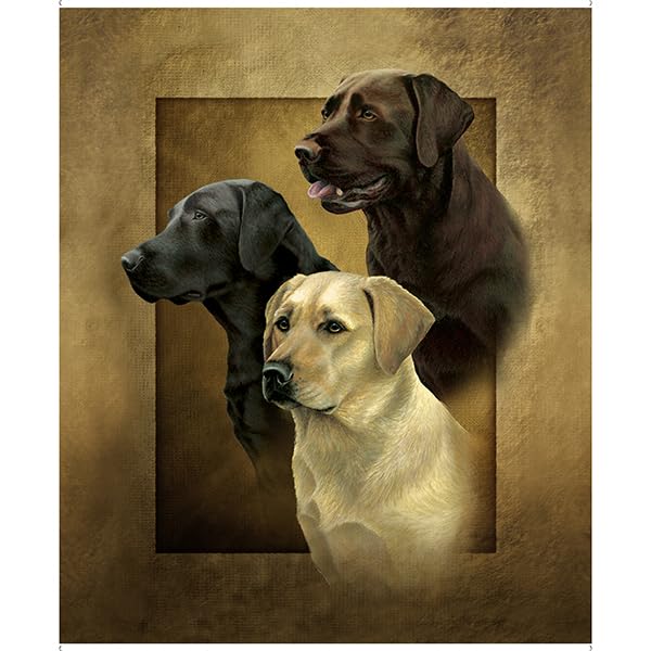 Generic for The Love of Lab Dogs Brown Cotton Fabric Panel QT 30307