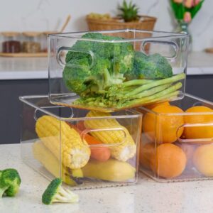 Faryuan 4 PCS Clear Plastic Storage Bins, Refrigerator Organizer Bins with Handles, Pantry Organizer Bins for Food, BPA-Free Fridge Organizer for Fridge, Freezer, Kitchen, Cabinet, Pantry, 10" Long