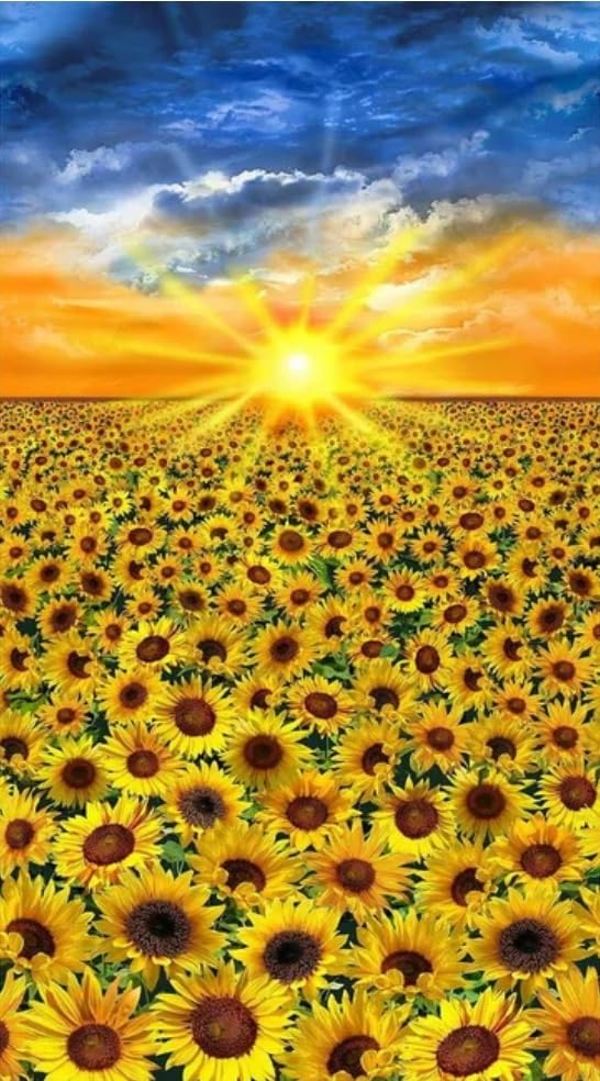 Timeless Treasures Sunflower Sunset 24x44 inch Cotton Fabric Panel, Yellow, CD2535