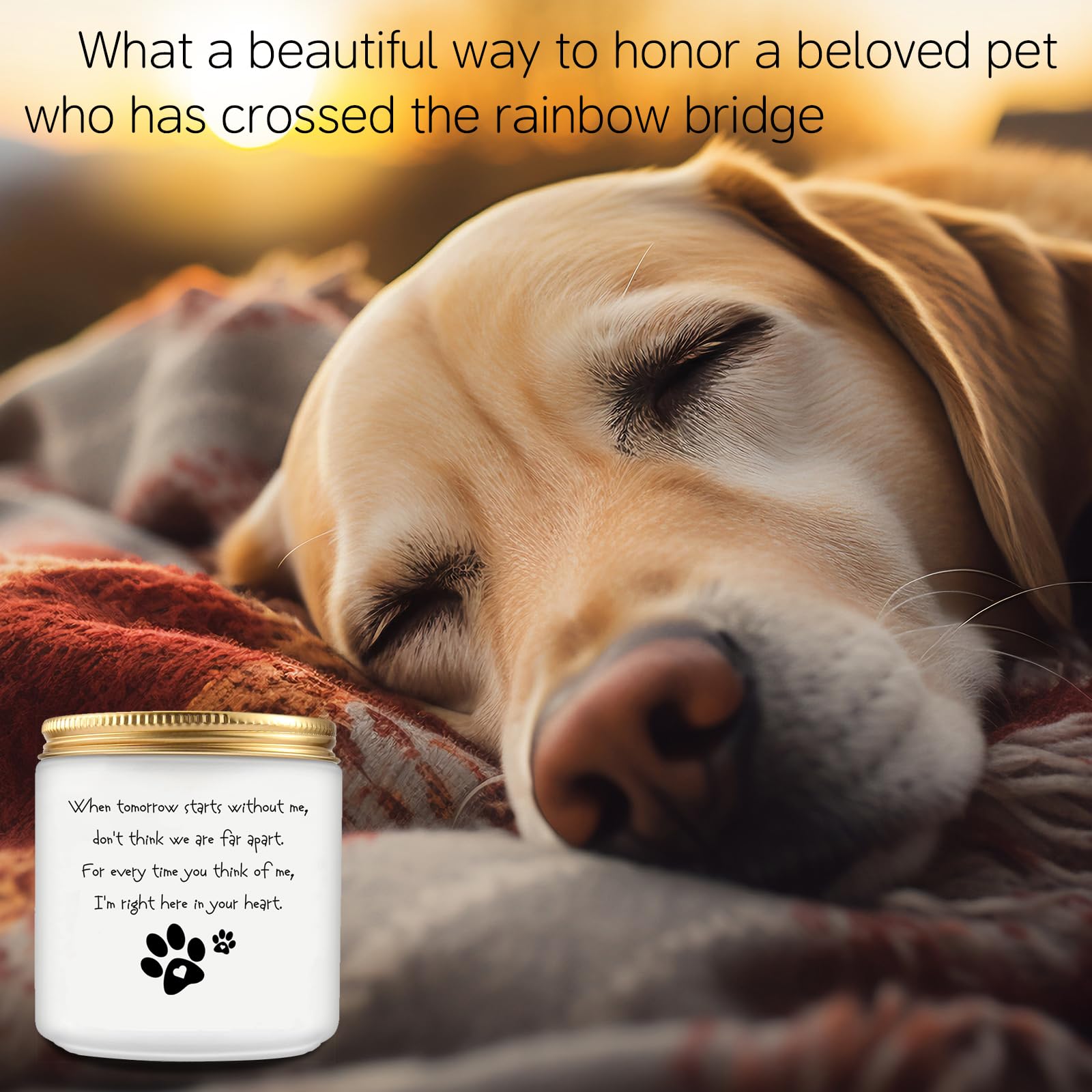 Dog Memorial Gifts for Loss of Dog, Dog Bereavement Gifts, Loss of Dog Sympathy Gift, Pet Memorial Gifts for Dogs Cats, Dog Passing Away Gifts, Pet Loss Gifts, Sympathy Candle Gift for Friends Familes