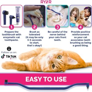 RYERCAT Set of Dual Sided Cat Toothbrushes - Kitten Toothbrush with Micro Head to fit into Kittens Mouth - Cat Dental Care Supplies Pet Toothbrush for Cats (Flamingo Pink and Space Blue)