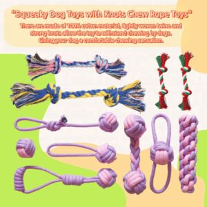 SOCOWVAKA Puppy Discovery Series-26 Pack Puppy Teething Toys Set Interactive Dog Toys,Squeaky Dog Toys, Dog Rope Toy, Ball,Dog Toys for Boredom,Dog Chew Toys,Interaction and Training,Enhance Feelings