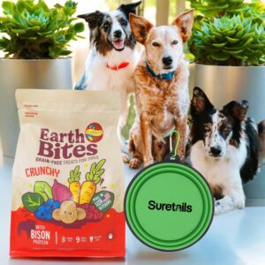 Suretails Earthborn Holistic Dry Dog Food, 32 Ounces, Bison Protein, Grain-Free Dog Treats Bundle with Silicon Pet Bowl - Includes Rope Toy & Animal Facts Booklet Dog Buiscuits [Pack of 1]