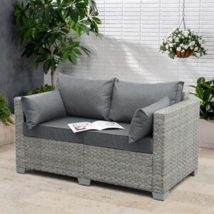 WAROOM Patio Loveseat Outdoor Wicker Small Couch PE Rattan 2-Seater Furniture Sofa, Deep Patio Seating with Grey Cushion