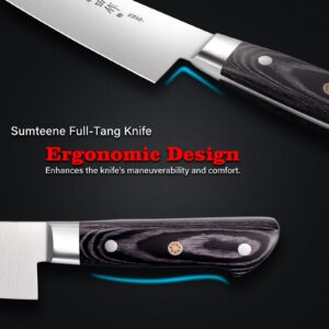 Sumteene Japanese Chef Knife 9.5 inches, Professional Sushi Knife with Pakkawood Ergonomic Handle, Sharp Japanese Knife, Japanese Gyuto Knife for Household or Work