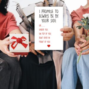 CGBRspacex Funny Anniversary Card for Boyfriend Husband, I Promise to Always Be By Your Side Card, Hilarious Gift for First Second Third Year Anniversary (Top or Under)