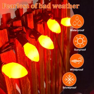 Agaphoton 25 Pack Orange Christmas Replacement Bulbs, C7 Ceramic Orange Replacement Bulbs for Outdoor String Light, E12 Candelabra Base 5 Watt, Great for Christmas Bulbs