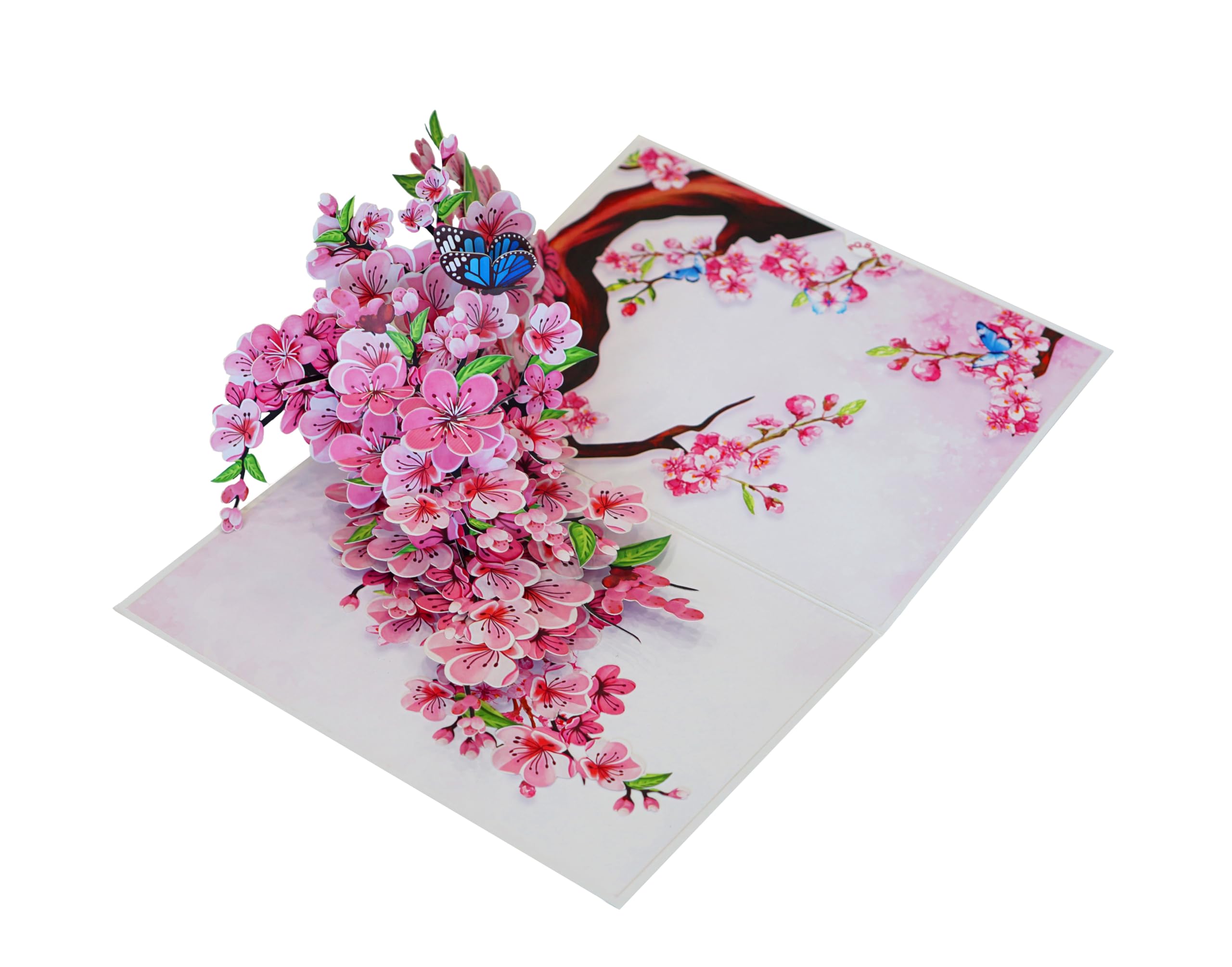 PQ Bees Pop Up Mothers Day Card for Women Mom Grandma Wife, 3D Birthday Anniversary Get Well Soon Thank You Valentines Day Card (Size 6x8 In – Butterflies Cherry Blossom).