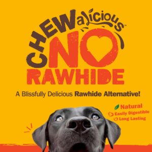 Cadet Chewalicious Chewy 'N Crunchy Spiral Dog Treats, Limited Ingredient Rawhide-Free Dog Chews, Long-Lasting Made with Real Chicken, 8 Count (Pack of 1)