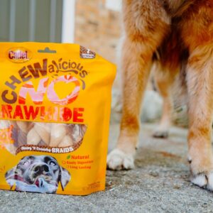 Cadet Chewalicious Chewy 'N Crunchy Braid Dog Treats, Limited Ingredient Rawhide-Free Dog Chews, Long-Lasting Made with Real Chicken, 7 Count (Pack of 1)