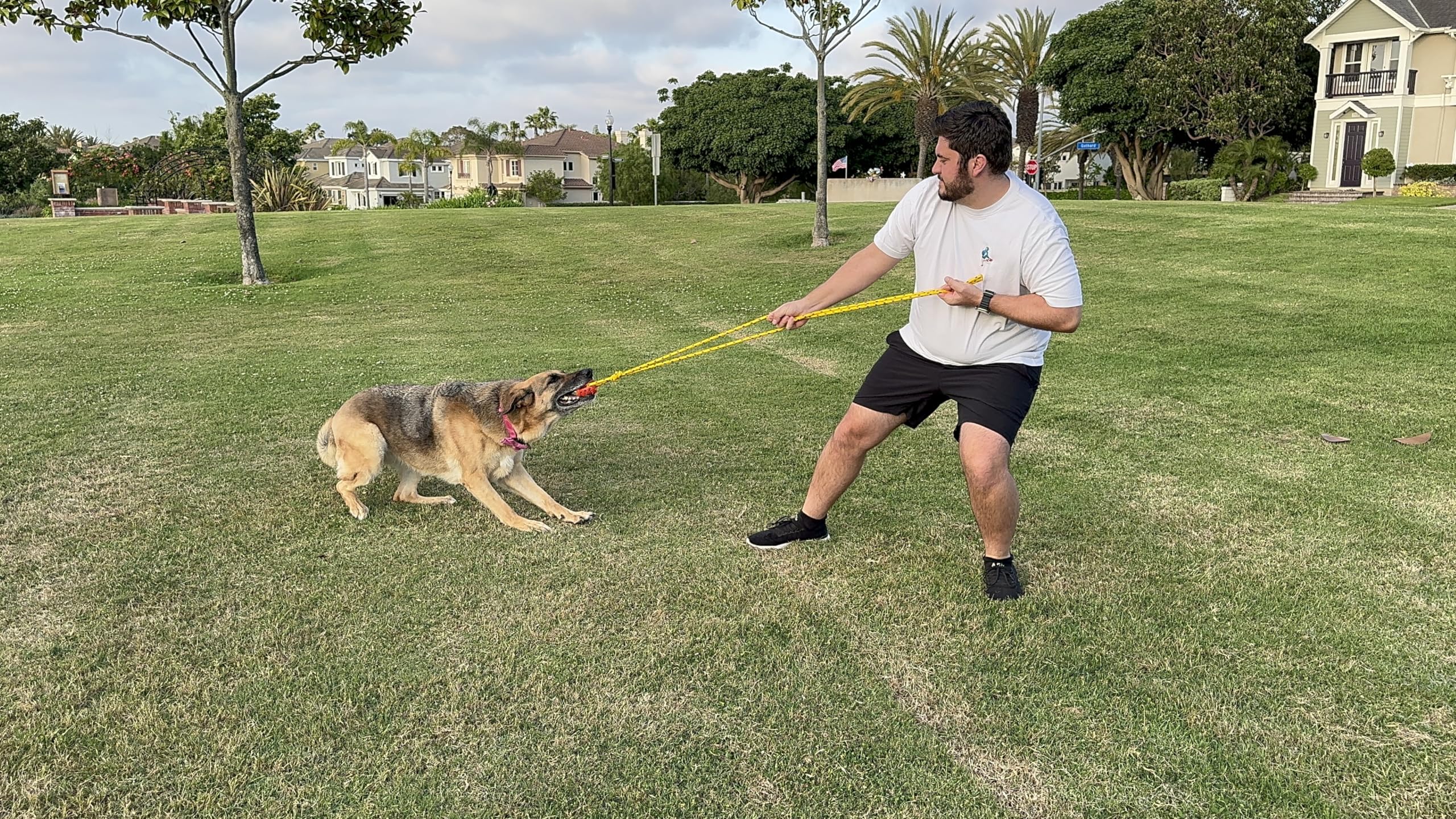 Runball Dog Rope Toy with Ball for Tug of War, Training, Fetch, Interactive Pull Toy, Teeth Cleaning Ball for Medium and Large Dogs, 10 Foot Rope and 2.75 Inch Ball