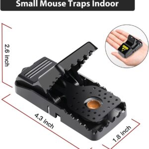 VRXVR Mouse Traps Indoor for Home Small Mouse Trap for House Mice Snap Trap Effective Sanitary Quick Mouse Catcher - 12 Pack, Black