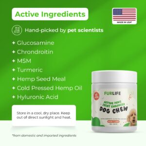 FurLife - Chewable Dog Hip and Joint Supplement for All Breeds & Sizes - Glucosamine, Chondroitin & Turmeric Chews - Dog Joint Supplements & Vitamins - Extended Joint Care - 90 Chews