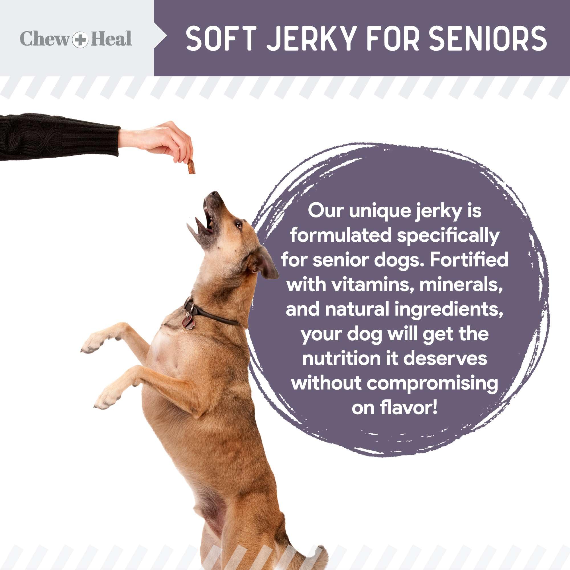 Chew + Heal Labs Seniors Soft Jerky Salmon Dog Treats - 5 oz of Omega Jerky - Dog Joint Supplement with Wild Alaskan Salmon and Turmeric - Made in The USA