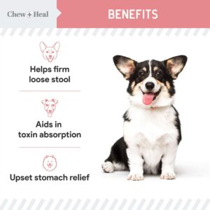 Chew + Heal Labs Anti Diarrhea for Dogs - 2 oz. of Stop The Diarrhea Liquid Supplement with Kaolin - for Diarrhea and Upset Stomach Relief - Made in The USA