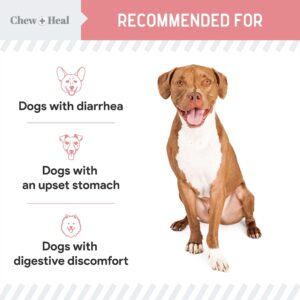 Chew + Heal Labs Anti Diarrhea for Dogs - 12 oz. of Stop The Diarrhea Liquid Supplement with Kaolin - for Diarrhea and Upset Stomach Relief - Made in The USA