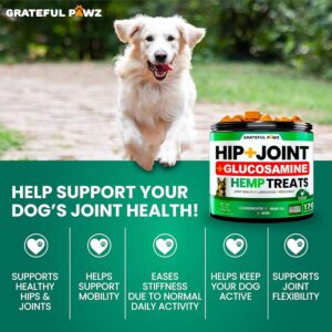 (2 Pack) Hemp Hip and Joint Supplement for Dogs - Glucosamine for Dogs - 340 Dog Joint Pain Relief Treats - Chondroitin, MSM, Hemp Oil - Advanced Dog Joint Supplement Health - Mobility Support Chews