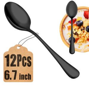 12 piece black dessert set,food grade stainless steel tea spoons,durable small spoons,metal dessert spoon,spoons silverware for home,kitchen or restaurant,mirror polished & dishwasher safe,6.7-inch