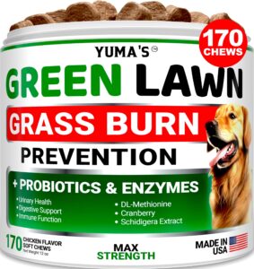 yuma's dog urine neutralizer for lawn - 170 chews - advanced grass green savers for dog urine - dog pee grass neutralizer supplement - green lawn treats for dogs with probiotics and digestive enzymes