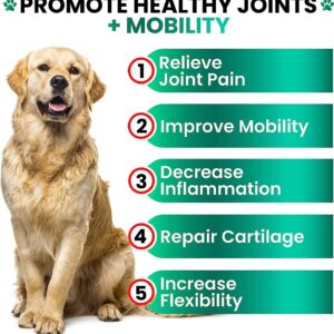 (2 Pack) Hemp Hip and Joint Supplement for Dogs - Glucosamine for Dogs - 340 Dog Joint Pain Relief Treats - Chondroitin, MSM, Hemp Oil - Advanced Dog Joint Supplement Health - Mobility Support Chews