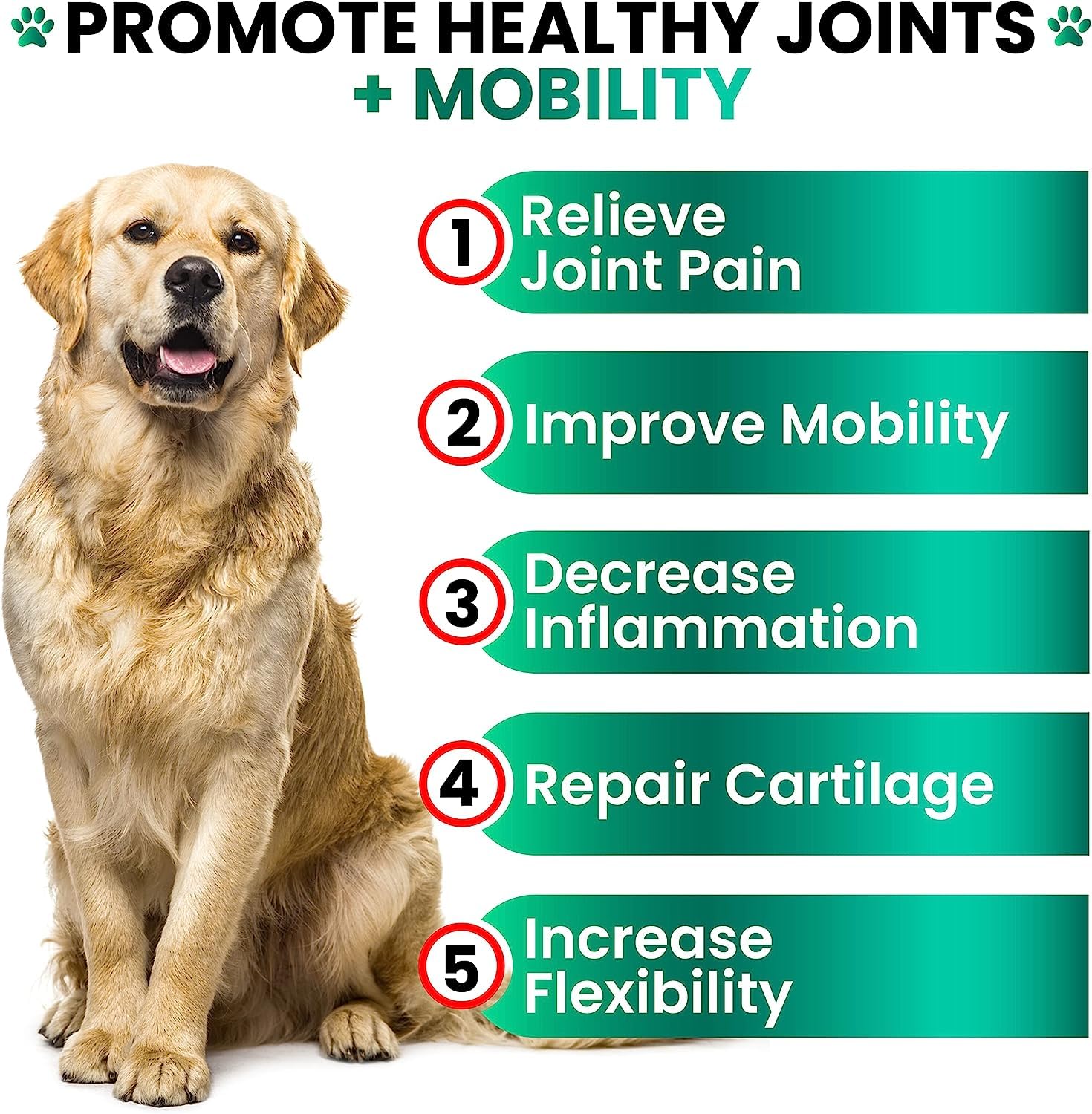 (2 Pack) Hemp Hip and Joint Supplement for Dogs - Glucosamine for Dogs - 340 Dog Joint Pain Relief Treats - Chondroitin, MSM, Hemp Oil - Advanced Dog Joint Supplement Health - Mobility Support Chews