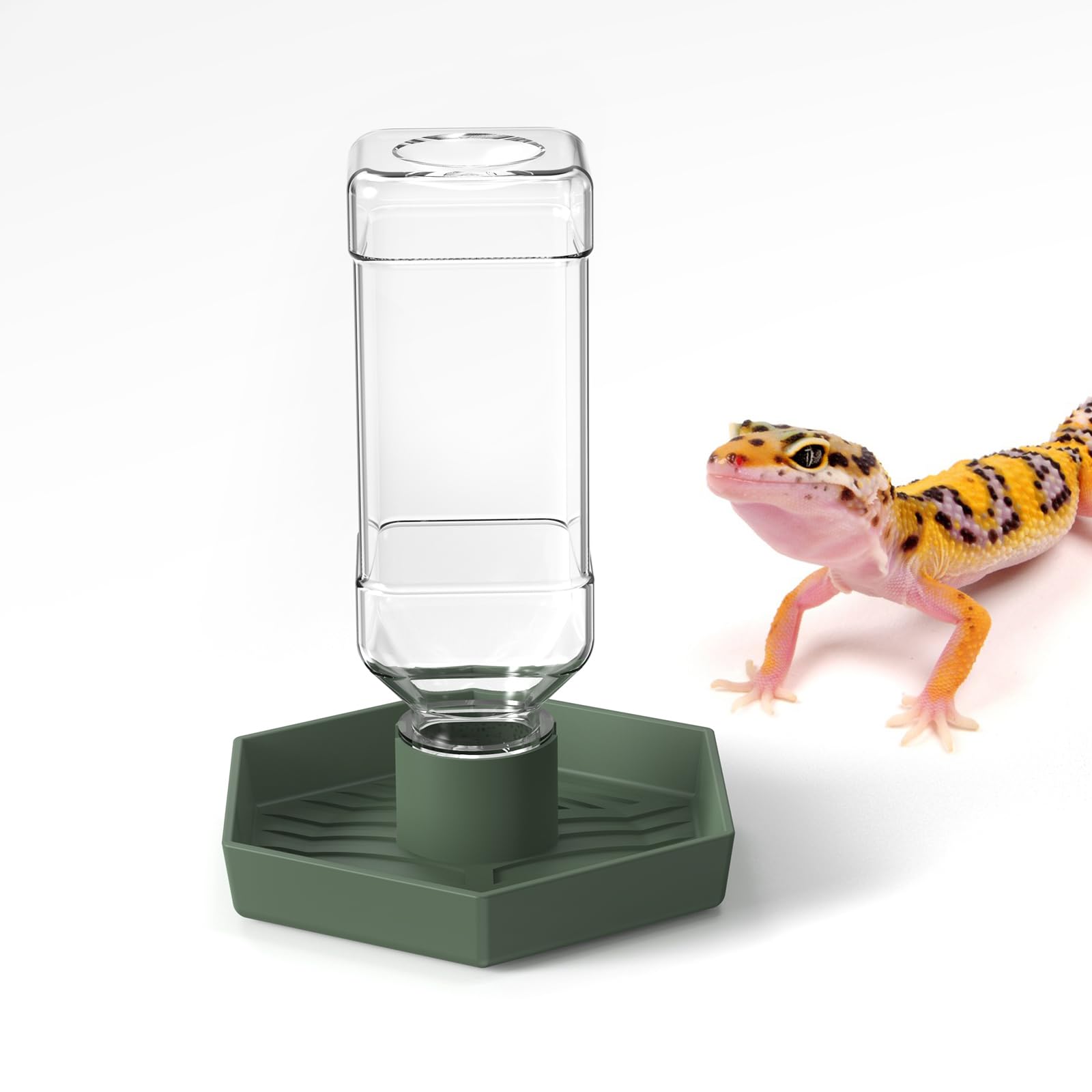 Reptile Water Dispenser-7.5 oz(250ml) Bearded Dragon Water Bowl - Small Water Dish for Tortoise - Bowls for Reptiles & Amphibians (S)