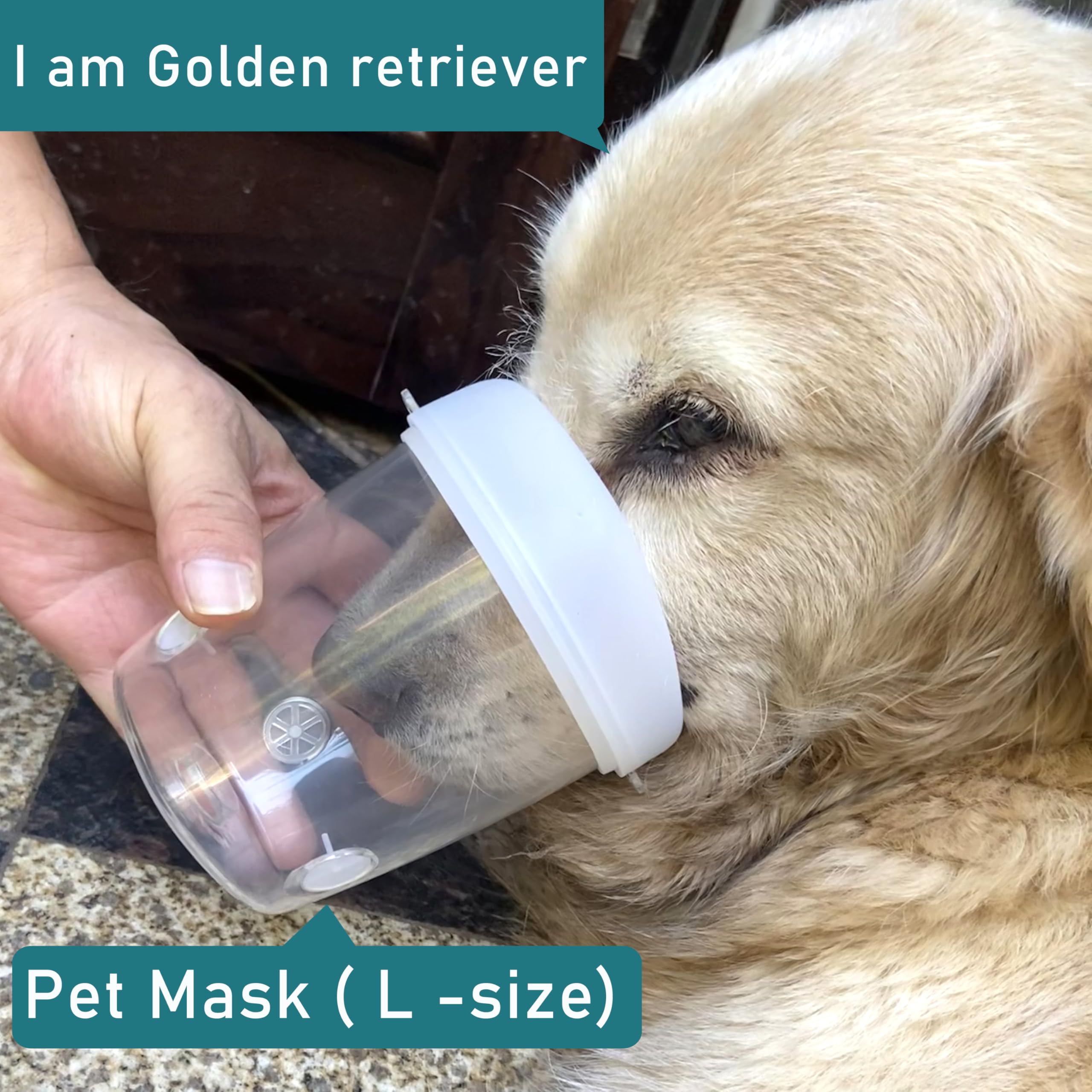 Lying Down Nebulizer Cup and Inhaler Mask for Large Dogs and Horses, Oxygen Mask for Pets and Wildlife (Not Contain Nebulizer Device) (L)