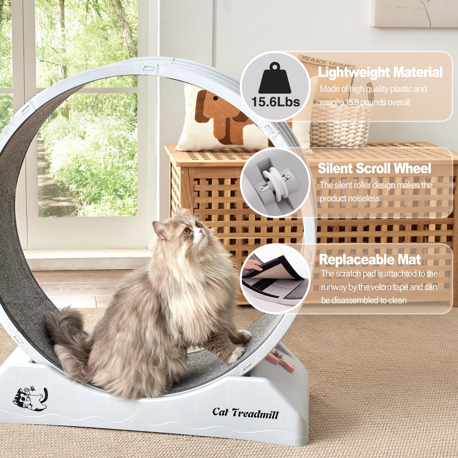 EXQ Home Cat Exercise Wheel, 31.5 Inch Cat Treadmill for Indoor Cats, Plastic Cat Wheel with Noiseless Carpeted Runway, Cat Running Wheel for Cat's Fitness & Health (Grey)