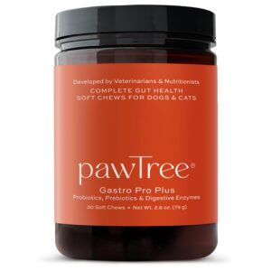 pawtree gastro pro plus for dogs and cats - probiotics, prebiotics and digestive enzymes - for sensitive stomach, digestive issues, loose stool, and bad gas (30 ct)