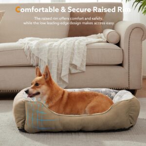 SIWA MARY Dog Bed for Small Dogs, Rectangle Small Dog Bed,Cat Beds for Indoor Cats, Orthopedic Dog Bed,Washable Dog Bed for Puppy and Pet with Non-Slip Botttom, Comfort&Calming S (20"x 19"x 6") Brown