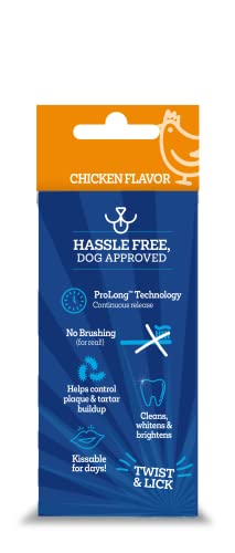 Vetality Brush Free Oral Gel for Dogs | Bundled with Teeth Cleaning Pet Chew, Vet-Formulated Pet Oral Stick, Prolong Technology, Cleans Teeth & Gums, Easy Application, Safe for Breeds - [Pack of 2]