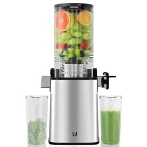 masticating juicer machines, 350w slow cold press juicer with 5.3" feeding chute, high juice yield juicer for fruits and vegetables, easy to clean