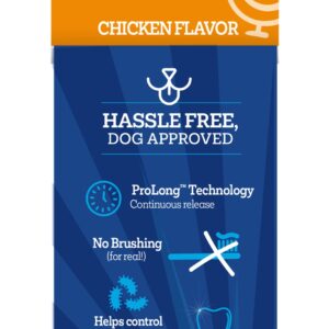 Vetality Brush Free Oral Gel for Dogs | Bundled with Teeth Cleaning Pet Chew, Vet-Formulated Pet Oral Stick, Prolong Technology, Cleans Teeth & Gums, Easy Application, Safe for Breeds - [Pack of 2]