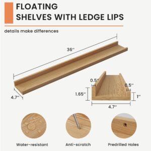 Acovy Solid Ash Wood Picture Ledge Shelf, 36 Inch Floating Shelves with Lip Set of 2, Picture Ledge Shelf, Photo Ledge Shelf Nursery Bookshelf Wall Mounted for Living Room Bedroom Decor, Natural