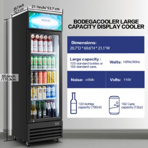 BODEGACOOLER commercial refrigerators glass door, 9 cu.ft commercial beverage refrigerator, glass door display refrigerator for beer,bar,drink, commercial merchandiser refrigerator, commercial fridge.