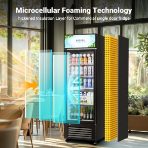 BODEGACOOLER commercial refrigerators glass door, 9 cu.ft commercial beverage refrigerator, glass door display refrigerator for beer,bar,drink, commercial merchandiser refrigerator, commercial fridge.