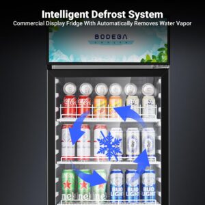 BODEGACOOLER commercial refrigerators glass door, 9 cu.ft commercial beverage refrigerator, glass door display refrigerator for beer,bar,drink, commercial merchandiser refrigerator, commercial fridge.