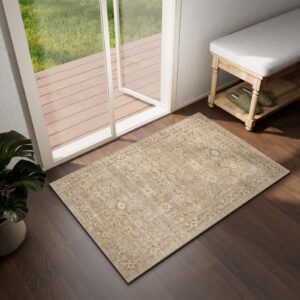 Washable Door Mat Indoor Entrance: 2'x3' Small Entryway Rug Boho Area Rugs Stain Resistance Non Slip Low Pile Soft Throw Rugs for Inside Front Door Floor Kitchen Bedroom Bedside Dorm Room Entry