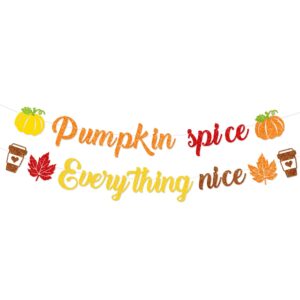 pumpkin spice and everything nice banner decor, inspirational autumn sign, autumn fall bulletin board decorations for thanksgiving, fall party decorations for home mantle fireplace,fall harvest banner