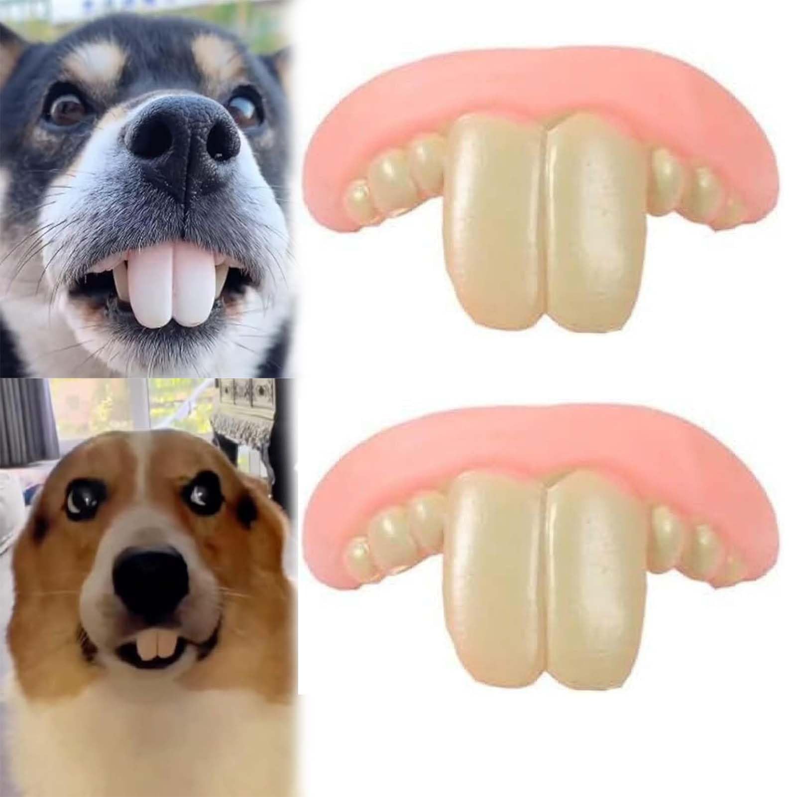 Generic 2PC Fake Teeth, Funny Fake Dog Teeth, Dog Teeth, Dog Teeth Braces, Dog Dental Braces Pet Supplies, Dog Festival Costume Suitable Dog Chew Toys for Small Medium Large Dogs (2pc)