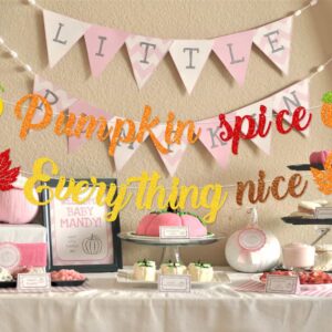 Pumpkin Spice and Everything Nice Banner Decor, Inspirational Autumn Sign, Autumn Fall Bulletin Board Decorations for Thanksgiving, Fall Party Decorations for Home Mantle Fireplace,Fall Harvest Banner