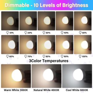 E12 Rechargeable Light Bulbs with Remote Control Timer and 15 Color Temperature,350LM,Removable Base,Magnetically,Battery Operated Light Bulbs,USB Fast Charging,Dimmer,for Non-Hardwired,2Packs