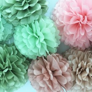 Tissue Paper Pom Poms Kit -Rose Pink and Sage Green Paper Flowers 12pieces for Gender Baby Shower Wedding Bridal Bachelorette Birthday Party Decorations (Green + Pink)