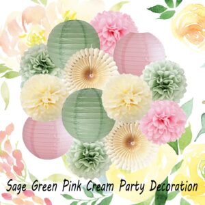 Sage Green and Pink Party Decoration Sage Pink Cream Tissue Paper Pom Poms Hanging Paper Lanterns Sage Green Party Decorations for Wedding Engagement Baby Shower Bridal Shower Girl Birthday