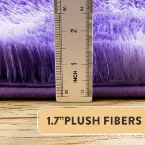 Fluffy Rug for Living Room,Furry Carpet for Teen,Shaggy Rug for Nursery Room, Tie-Dyed Purple Fuzzy Plush Rug for Dorm, Rectangle Shag Rug 2x3 Feet